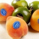 لیبل میوه‌های صادراتی